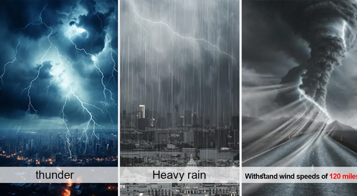 Fearless of weather conditions